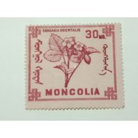 Монголия 1968. Ягоды Монголии