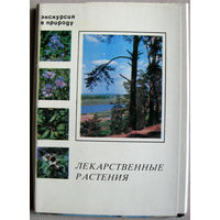 Набор открыток "Экскурсия в природу. Лекарственные растения. Выпуск 3" 1978 Неполный 24 открытки из 25