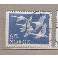 Птицы Фауна Норвегия лот 1077