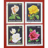 Венгрия. Розы. ( 4 марки ) 1982 года. 8-10.
