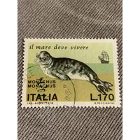 Италия 1978. Морские котики. Марка из серии