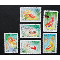 Вьетнам 1990 г. Золотые рыбки. Фауна, полная серия из 6 марок #0241-Ф1P55