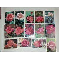 Открытки СССР с розами, фото открыток СССР , цветы, розы. Огромный выбор, более 100 видов!