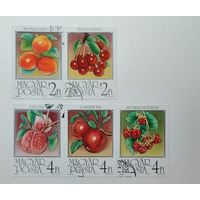 Венгрия 1986 / флора / плодовые деревья, ягоды, фрукты //5 марок из серии