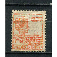 Нидерландская Индия - 1921 - Надпечатка нового номинал 12 1/2C на 22 1/2C - [Mi.133] - 1 марка. Гашеная.  (LOT Dd19)