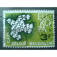 Бельгия 1961 Европа