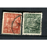 Бельгия - 1948 - Ремесла, Текстиль - (ном. 1,75 с тонким местом) - 2 марки. Гашеные.  (Лот 9EC)-T5P2