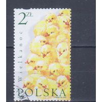 [2329] Польша 2002. Фауна.Птицы.Цыплята. Гашеная марка.