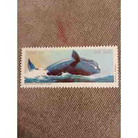 Бразилия 1987. Синий кит