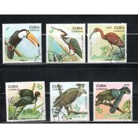 Куба-1989,(Мих.3300-3305) гаш.,  Фауна, Птицы(полная серия)