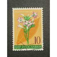 Югославия 1955. Местная флора