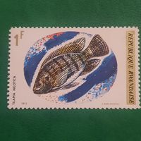 Руанда 1973. Фауна. Рыбы. Tilapia Nilotica. Марка из серии