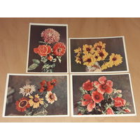 Цветы ИЗОГИЗ 1957 год. 4 чистые открытки одним лотом