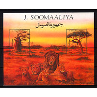 1994 Сомали. Деревья