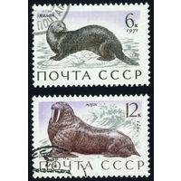 Морские млекопитающие Фауна СССР 1971 год 2 марки