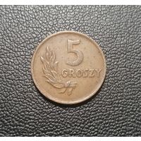 5 грошей 1949 Бронза