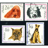 Породы собак Польша 1963 год 4 марки