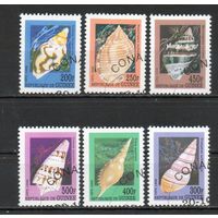 Раковины Стандартный выпуск Гвинея 1998 год серия из 6 марок