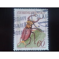 Чехословакия 1962 жук-рогач