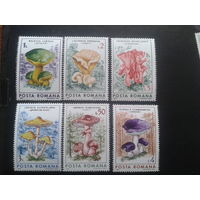 Румыния 1986 грибы полная серия