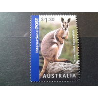 Австралия 2007 кенгуру