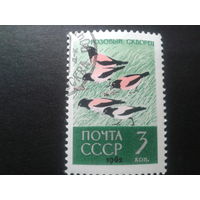 СССР 1962 розовый скворец
