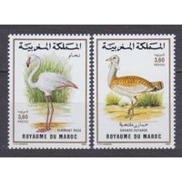 1988 Марокко 1144-1145 Птицы 3,80 евро