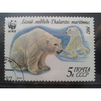 1987 Белый медведь WWF