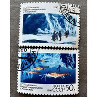 Марка СССР 1990 год Научное сотрудничество в Антарктике