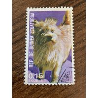 Экваториальная Гвинея 1974. Породы собак. Cairn-Terrier. Марка из серии