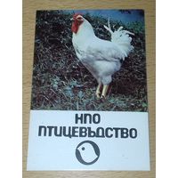 Календарик 1985 Болгария. НПО "Птицеводство". Петух