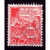 1 марка 1964 год Алжир 421 2
