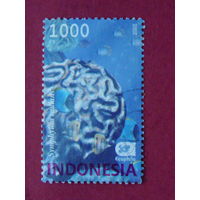 Индонезия 2002г. Морская фауна.