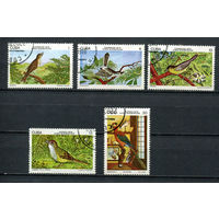 Куба - 1978 - Птицы - [Mi. 2280-2284] - полная серия - 5 марок. Гашеные.  (LOT AL29)(BB)