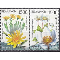 Беларусь 2009 Флора. Охраняемые растения Беларуси