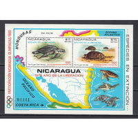 Фауна. Черепахи. Никарагуа. 1980. 1 блок. Michel N бл114 (40,0 е)