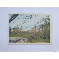 Минск открытка  1967 10х15 см