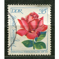 Цветы. Роза. ГДР. 1972