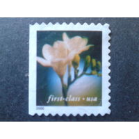 США 2000 стандарт, цветы первый класс