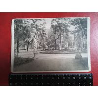 Редкая видовая открытка. Почтовая карточка. Летний сад .15000 экз. 1948 год.