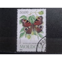 Молдова 1993 бабочка
