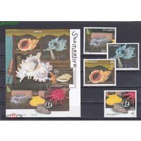 Ракушки. Морская фауна. Сомали 2003   MNH