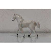 Лошадка белая Красивая стоит на ногах