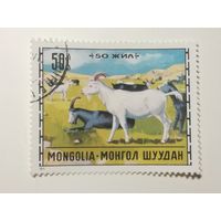 Монголия 1971. Животноводство. Коза
