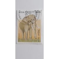 Лаос 1997. Слоны