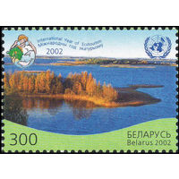 Международный год экотуризма Беларусь 2002 год (491) серия из 1 марки