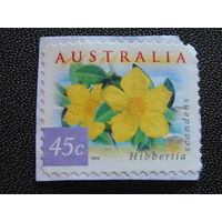 Австралия 1999 г. Флора.