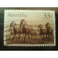 Австралия 1986 Коневодство