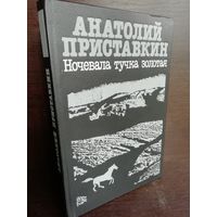 А.Приставкин . Ночевала тучка золотая