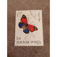 Венгрия 1984. Бабочка. Agra Sara